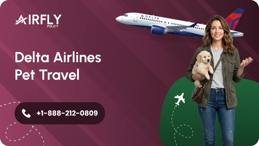 Delta Airlines Pet Travel - New Rules, Service Animal Policy Guide
