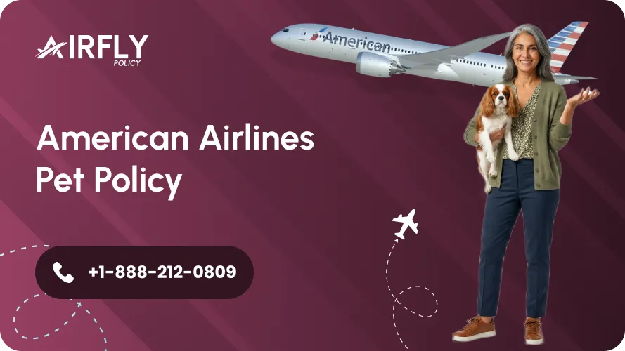 How Does American Airlines Pet Policy Work in 2026 - Main Explainer Guide