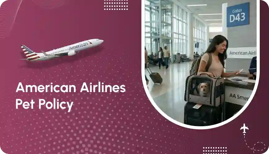 American-Airlines-Pet-Policy-Work-in-2026