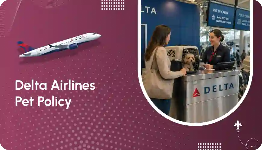 Delta Airlines Pet Travel - New Rules, Service Animal Policy Guide