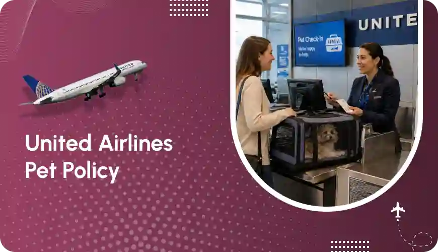 what-is-the-united-airlines-pet-policy